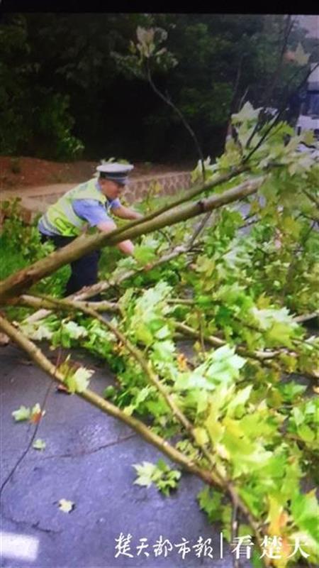 李涛|路过司机纷点赞，交警用撑衣杆托举电线保障交通