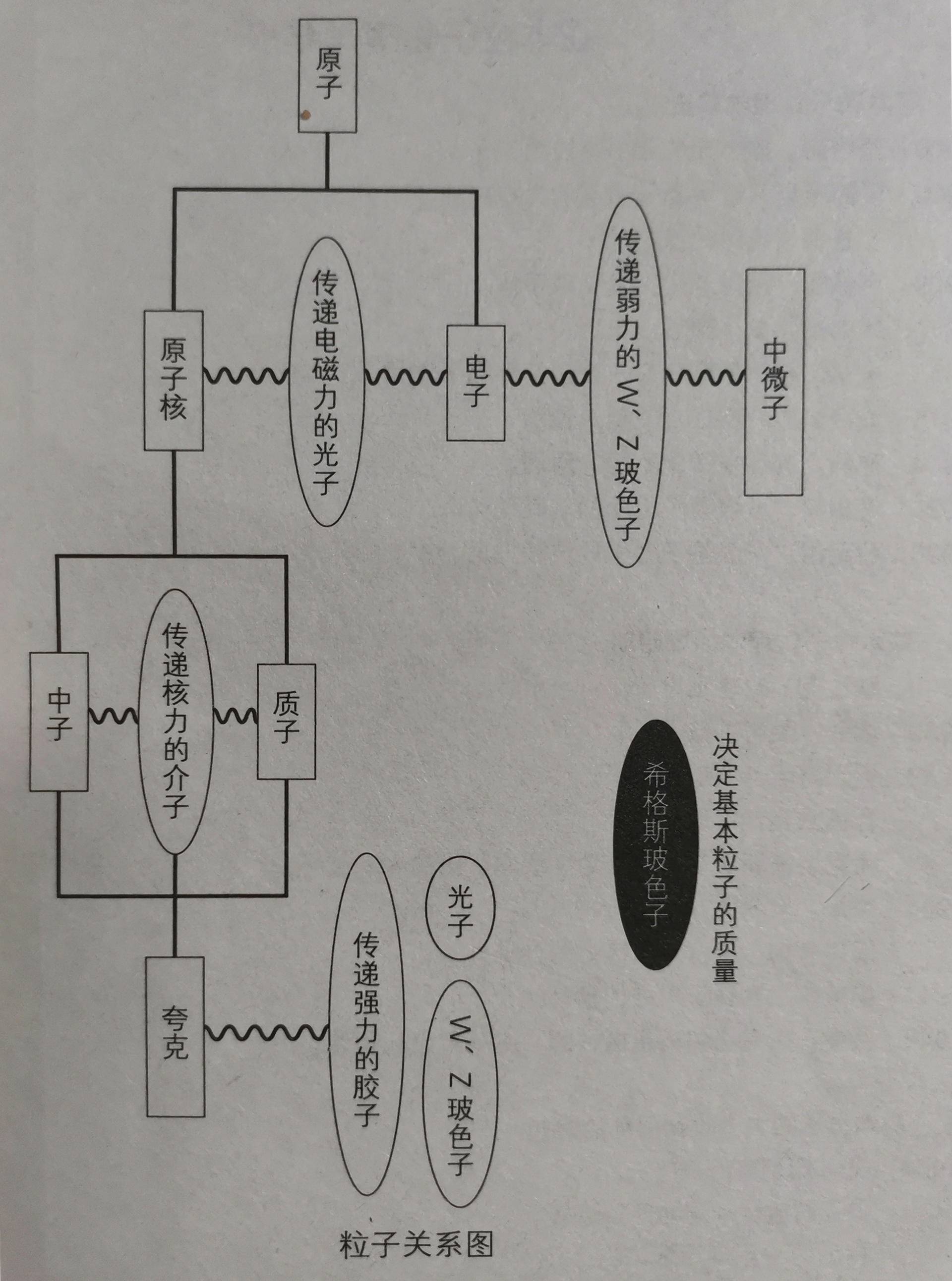 科学|一口气读懂质量的起源