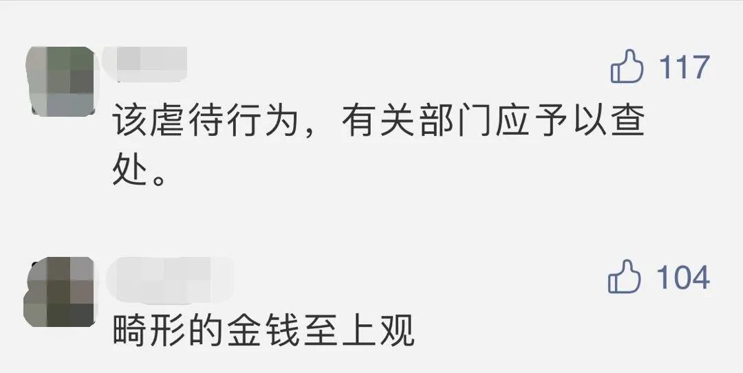 娱乐|3岁女孩被喂到70斤当吃播赚钱？父母还兴奋宣布……