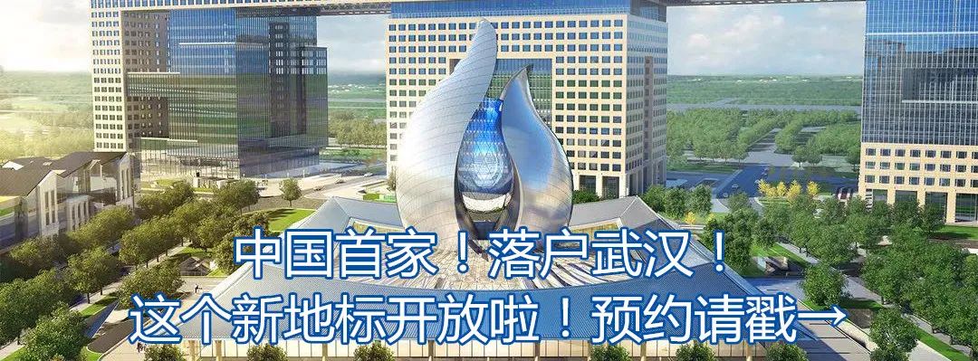 楚天都市报|她突然宣布：辞职！