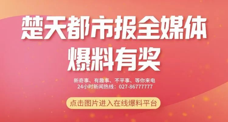 楚天都市报|她突然宣布：辞职！