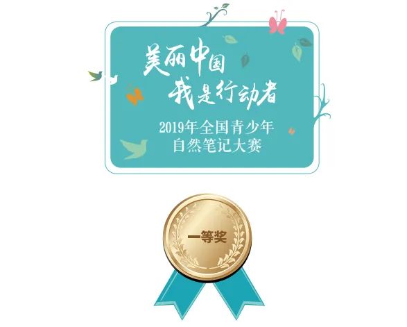 自然笔记|2019优秀生态环境宣传产品 ?|美丽中国我是行动者2019年全国青少年自然笔记大赛优秀作品集(1)