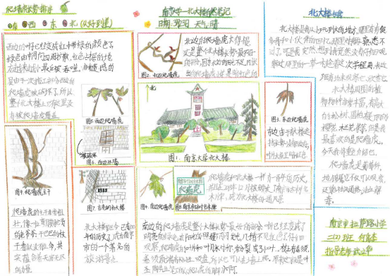 自然笔记|2019优秀生态环境宣传产品 ?|美丽中国我是行动者2019年全国青少年自然笔记大赛优秀作品集(1)