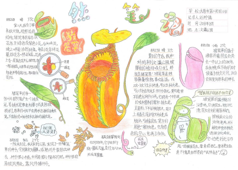 自然笔记|2019优秀生态环境宣传产品 ?|美丽中国我是行动者2019年全国青少年自然笔记大赛优秀作品集(1)