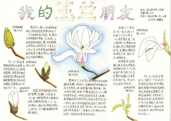 自然笔记|2019优秀生态环境宣传产品 ?|美丽中国我是行动者2019年全国青少年自然笔记大赛优秀作品集(1)