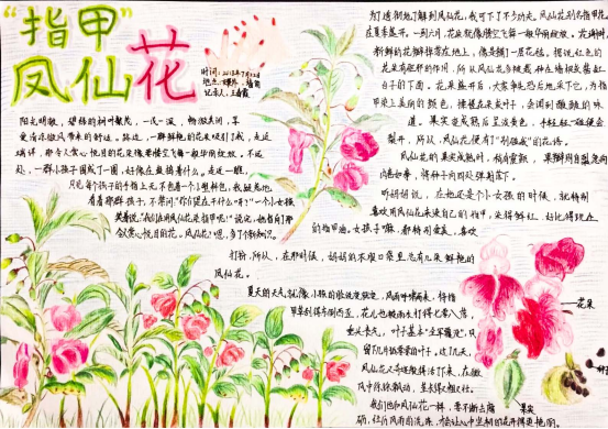 自然笔记|2019优秀生态环境宣传产品 ?｜美丽中国我是行动者2019年全国青少年自然笔记大赛优秀作品集（1）