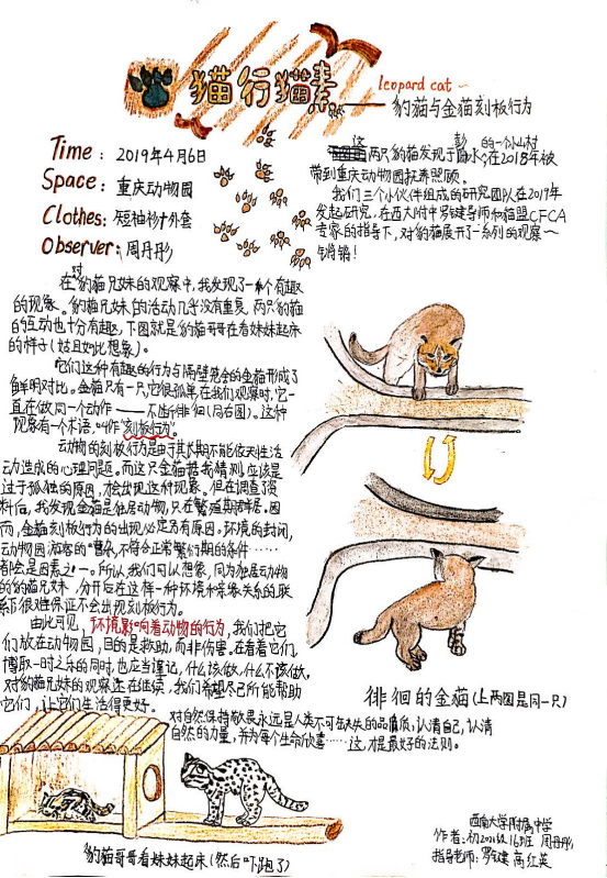 自然笔记|2019优秀生态环境宣传产品 ?｜美丽中国我是行动者2019年全国青少年自然笔记大赛优秀作品集（1）