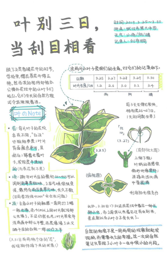 自然笔记|2019优秀生态环境宣传产品 ?｜美丽中国我是行动者2019年全国青少年自然笔记大赛优秀作品集（1）