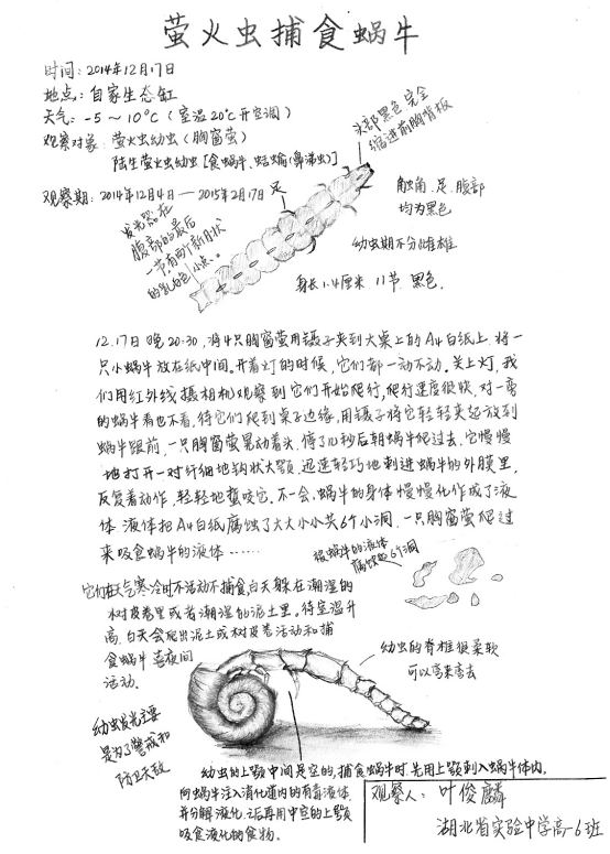 自然笔记|2019优秀生态环境宣传产品 ?｜美丽中国我是行动者2019年全国青少年自然笔记大赛优秀作品集（1）