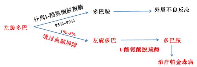 微生物|药物是否有疗效，肠道微生物有发言权！