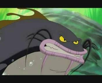 鲶鱼|它是被“误解”最多的鱼，其实营养不比甲鱼差！