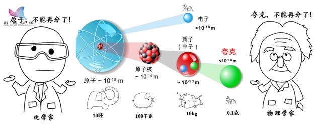 夸克|再次刷新人类对物质的认知，四夸克组成的新粒子首次“现身”