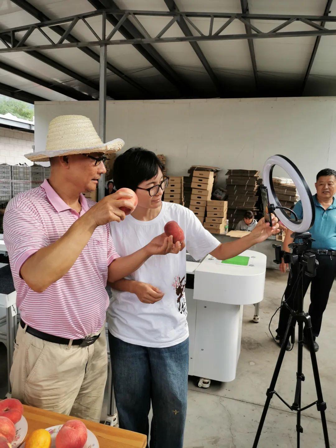 创业|走向我们的小康生活｜蜜桃红了，日子甜了