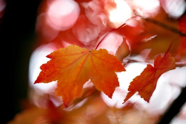 春秋战国|让人三尺，渡己一生！（精辟）