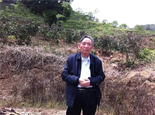 江西日报|又一巨星陨落！今年，已有24位院士离开了我们