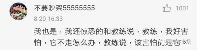 驾照考试|驾校教练说话有多损?哈哈哈,网友们的评论好真实