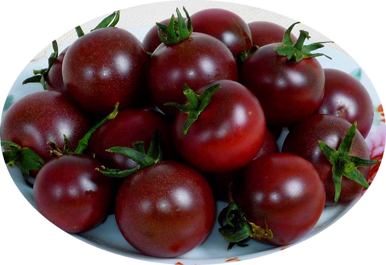 科学|为什么现在的西红柿没有小时候的味道了?是种子公司故意的吗?