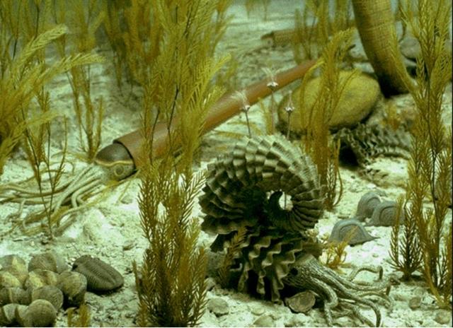 乌贼|请在章鱼烧、墨鱼丸和轰炸大鱿鱼的陪同下阅读此文