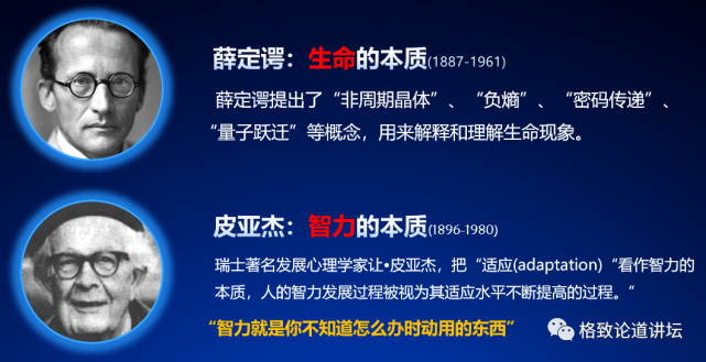 神经纤维|人类为什么这么聪明？大脑神经纤维总长度能绕地球四周半