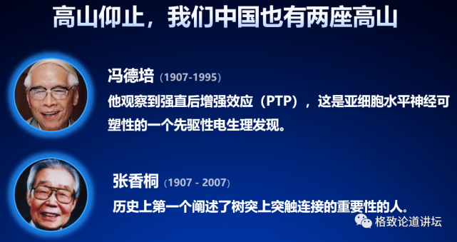 神经纤维|人类为什么这么聪明？大脑神经纤维总长度能绕地球四周半