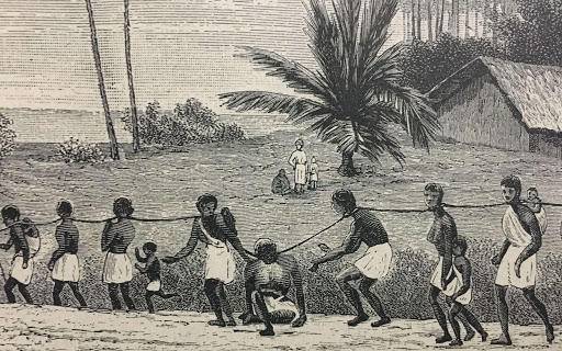 科学|“世界上黑人越来越多”，这是真的吗？