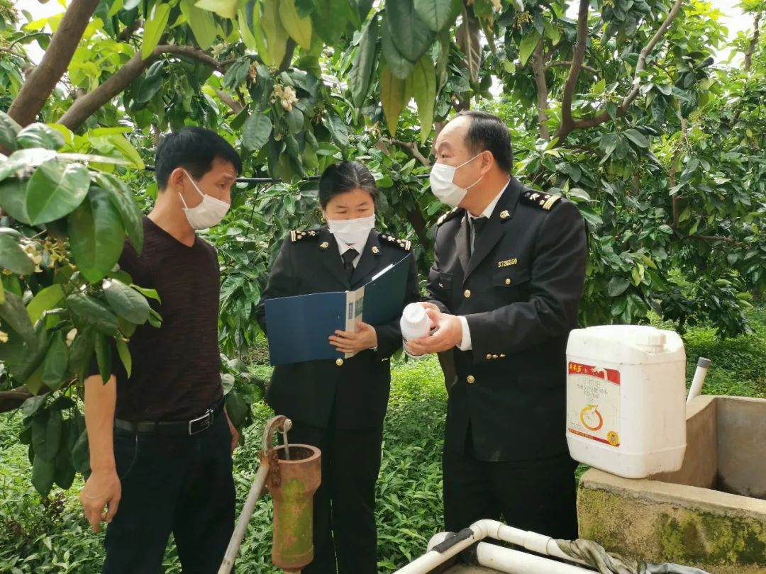 蜜柚|“柚”是一年，蜜柚香飘海外怎么走？