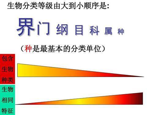 科学|生物物种大爆发为什么偏偏发生在寒武纪？