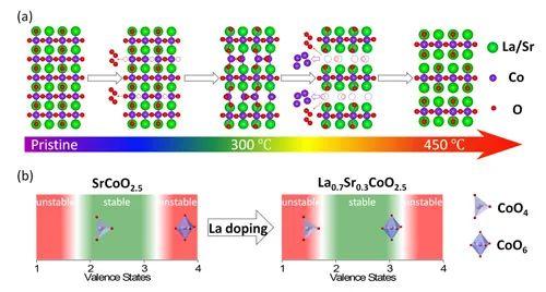 拓扑学|进展｜多价态钴氧化物薄膜体系B位阳离子迁移驱动的多态拓扑学相变