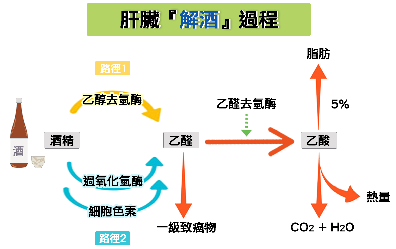 科学|蚊子喜欢叮咬什么人？