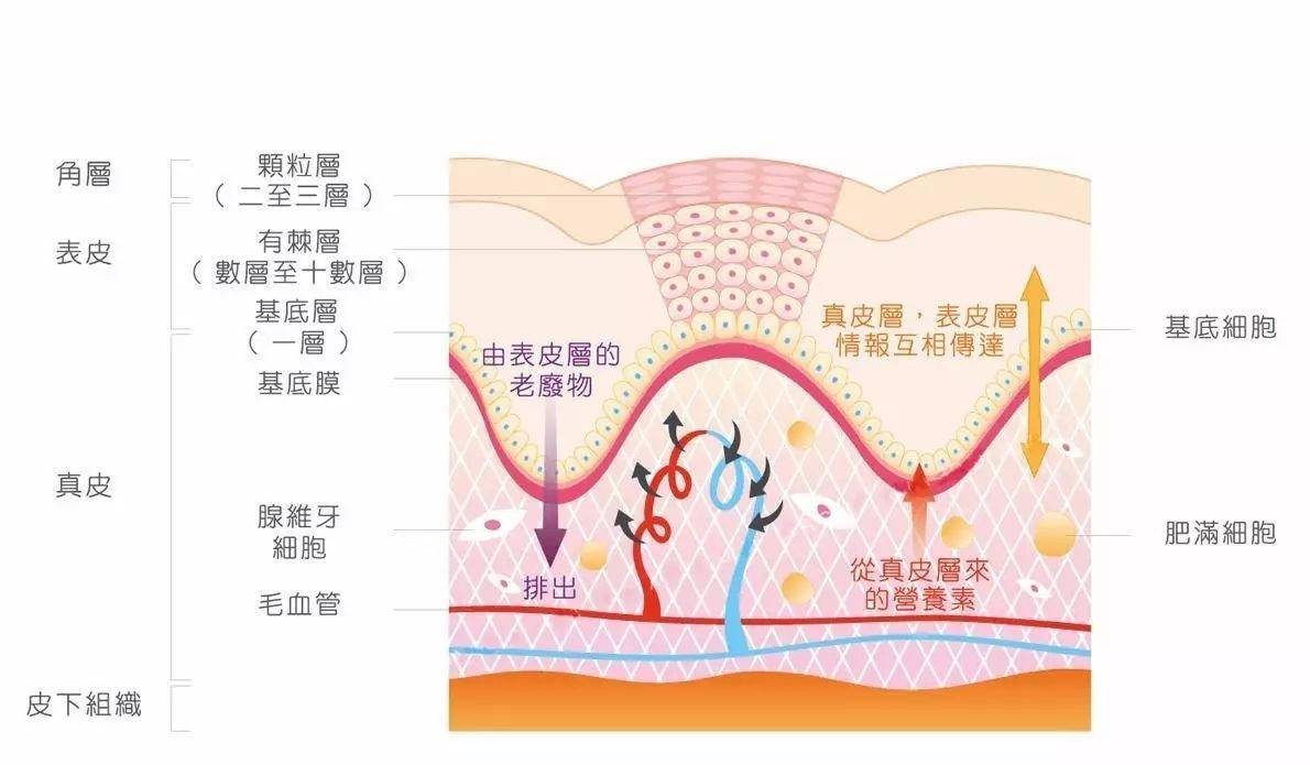 科学|蚊子喜欢叮咬什么人？