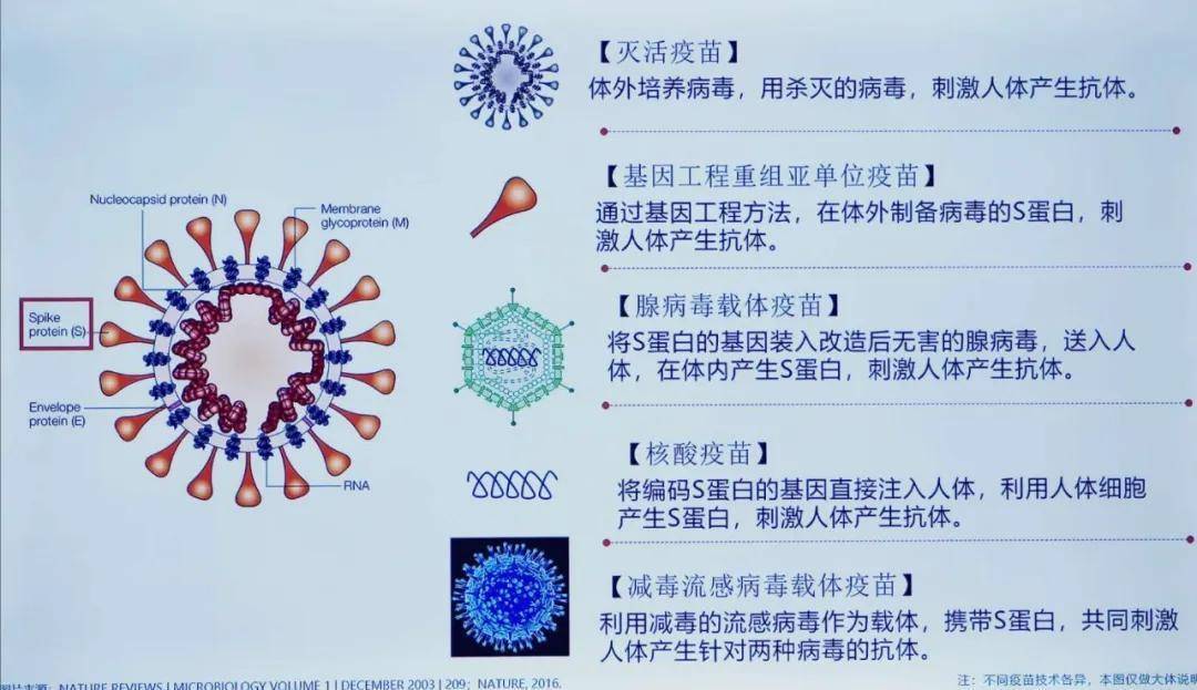 灭活疫苗|灭活的病毒是疫苗，那被灭活的病毒怎么能让人体形成抗体？