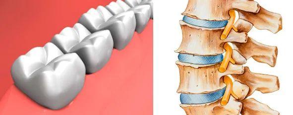生活|再光鲜靓丽的装饰，也掩盖不住头发里透出的贫穷