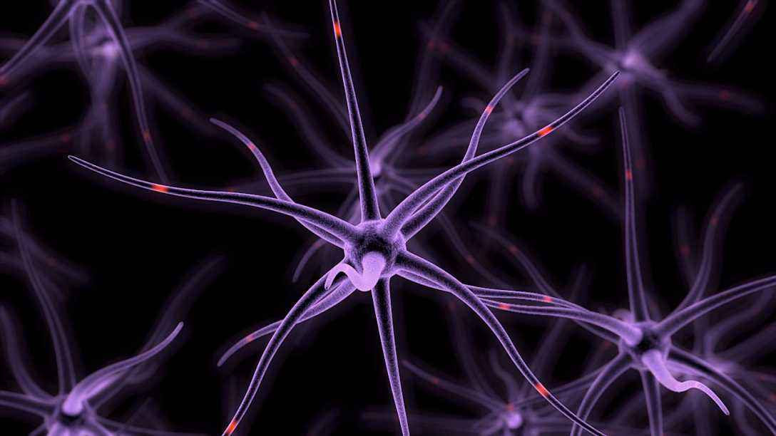 癌症|冷冻人复活计划已有300人参与，但为什么至今没有一例复活？