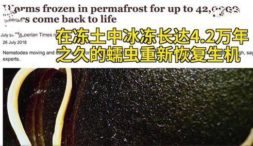 癌症|冷冻人复活计划已有300人参与，但为什么至今没有一例复活？