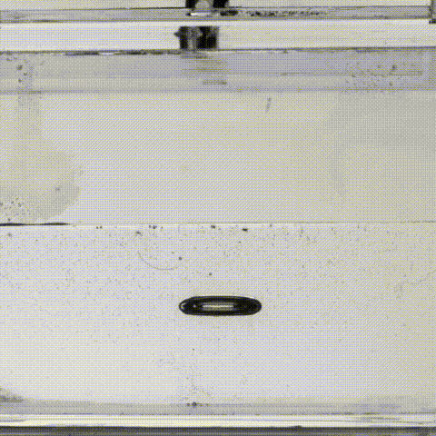 振动频率|一艘反向漂浮的小船，颠覆了你对浮力的理解