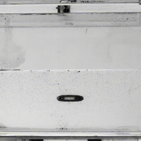 振动频率|一艘反向漂浮的小船，颠覆了你对浮力的理解