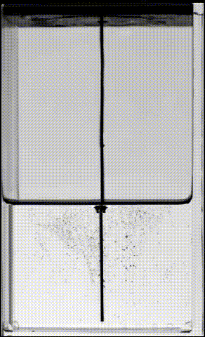 振动频率|一艘反向漂浮的小船，颠覆了你对浮力的理解