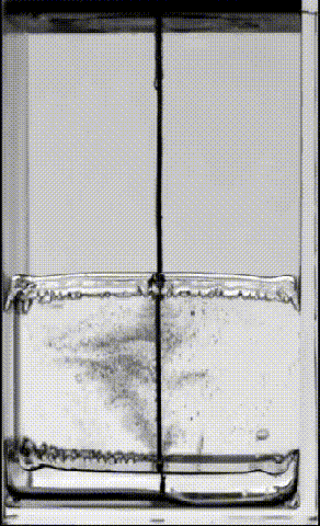 振动频率|一艘反向漂浮的小船，颠覆了你对浮力的理解