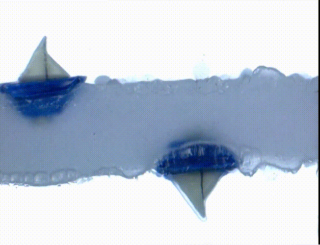 振动频率|一艘反向漂浮的小船，颠覆了你对浮力的理解