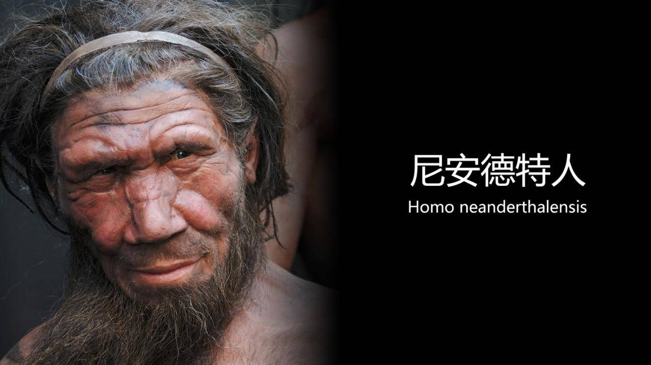 科学|人类是怎么演化而来的？