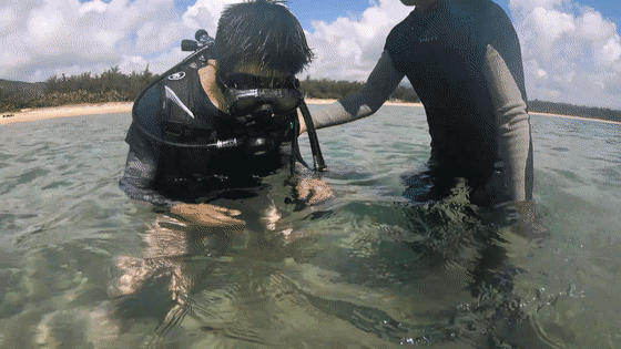 军事,陆军|独家揭秘!那些震撼场面的背后「组图」