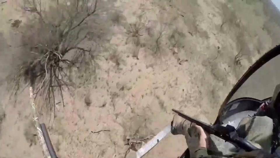 科学|美国野猪泛滥许久，每年损失高达15亿，为何美国人不抓来吃？