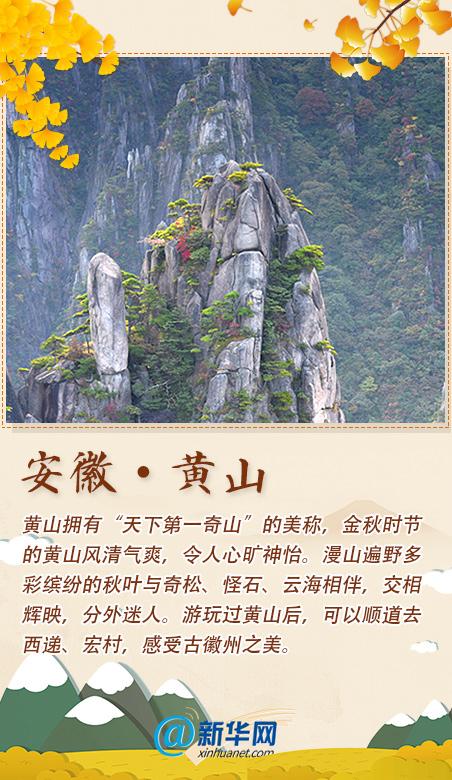 秋香|踏秋歌赏秋香！这份打卡清单已备好