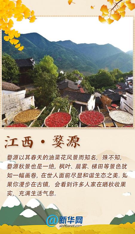 秋香|踏秋歌赏秋香！这份打卡清单已备好