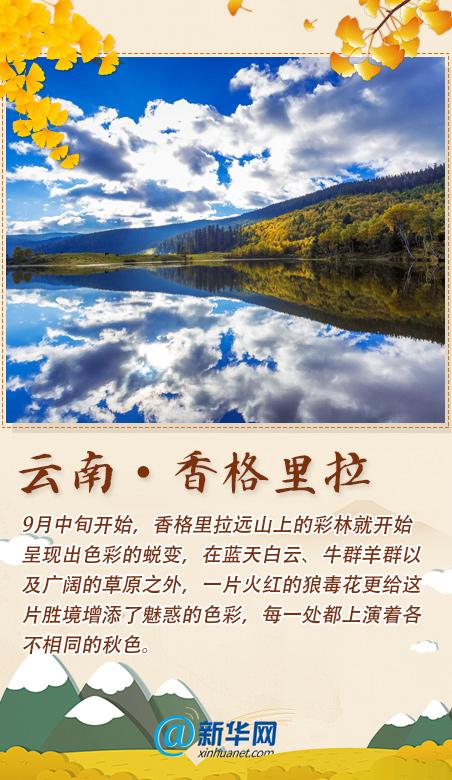 秋香|踏秋歌赏秋香！这份打卡清单已备好