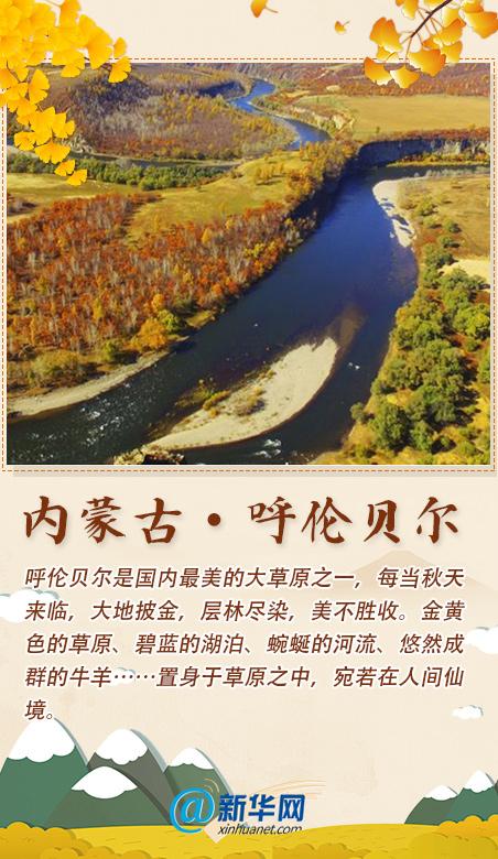 秋香|踏秋歌赏秋香！这份打卡清单已备好