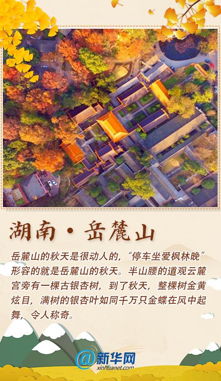 秋香|踏秋歌赏秋香！这份打卡清单已备好