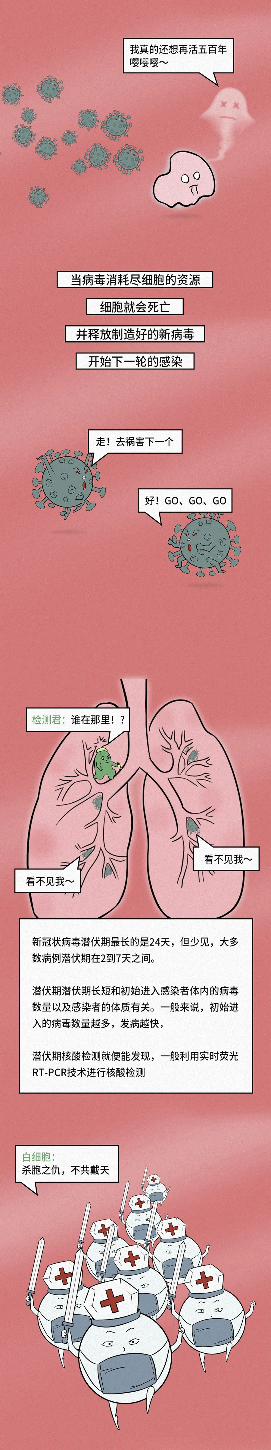 知识就是力量|新冠大作战丨漫画图解新冠病毒到底是一种怎样的生物?