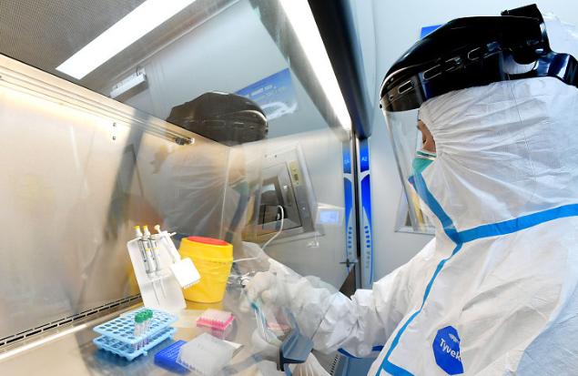 法律|恶劣！个别人员伪造核酸检测报告回国