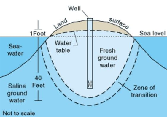 小岛|海洋小岛上的淡水是怎么来的?